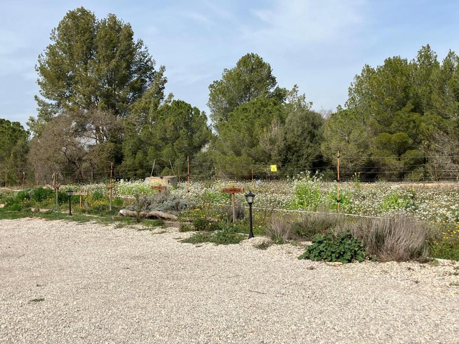 Apartment With Private Pool And Garden San Martín Sarroca Eksteriør bilde
