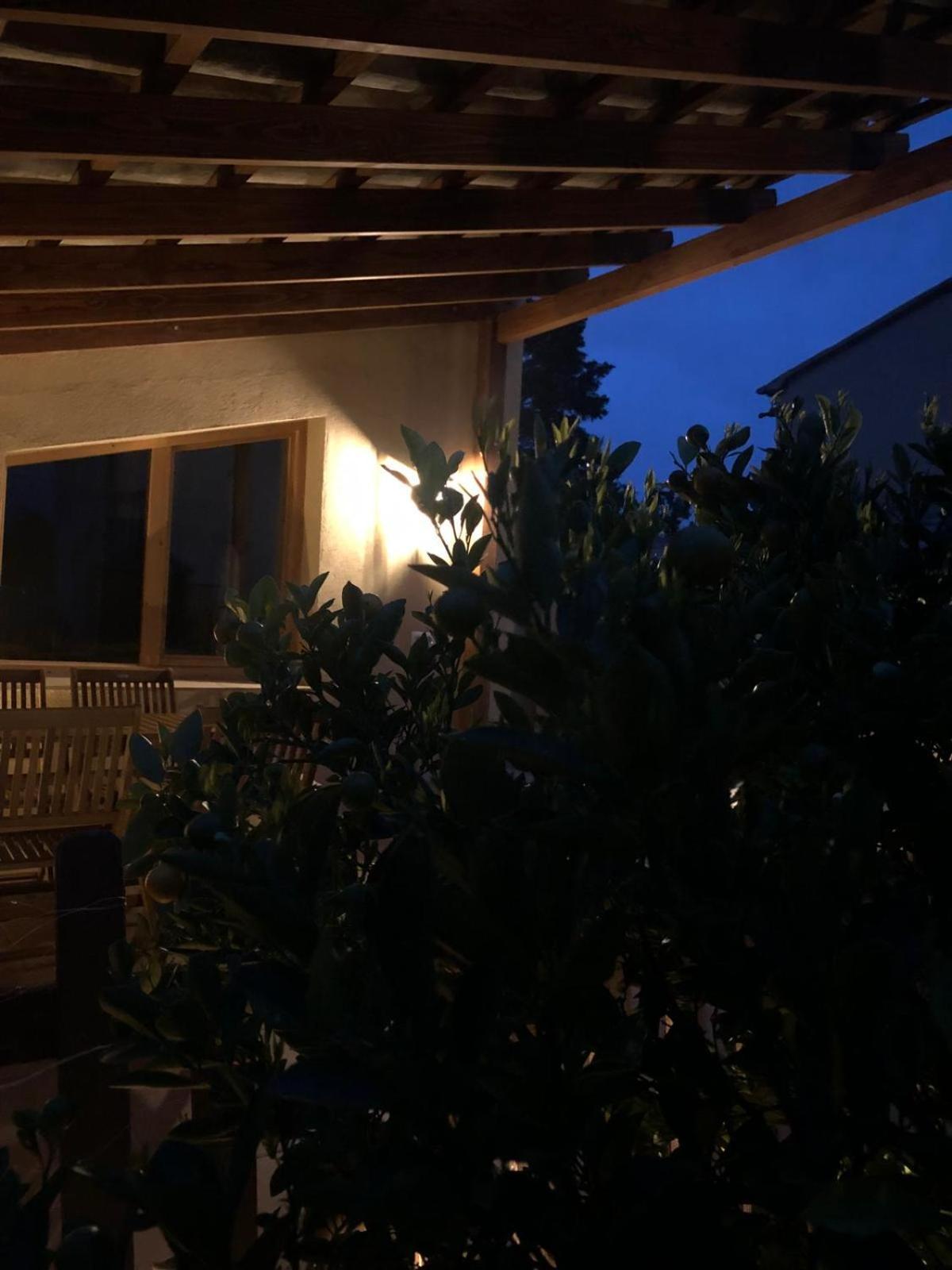 Apartment With Private Pool And Garden San Martín Sarroca Eksteriør bilde